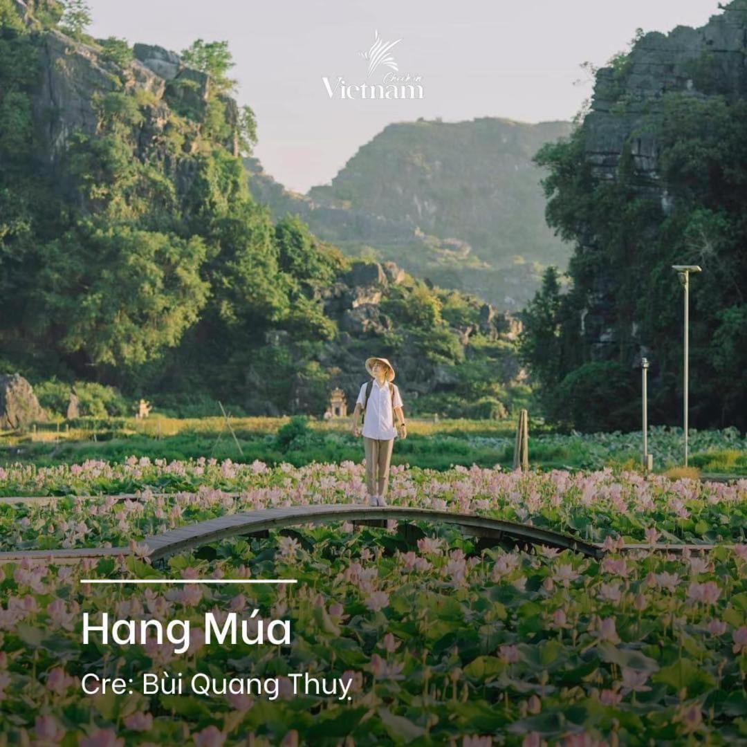 Cherry Homestay Ninh Binh Eksteriør billede